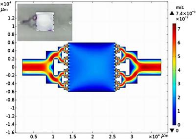 The integrated microfluidic photocatalytic planar reactor under continuous operation